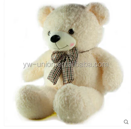recordable teddy