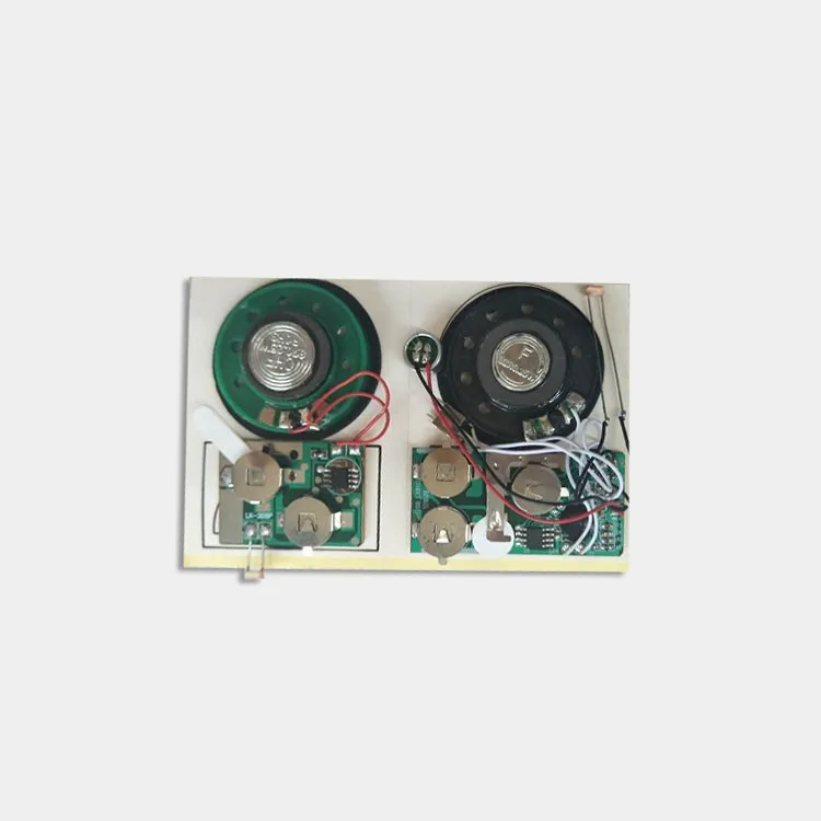 Sund Greeting Cards Recordable Module Diy Buttons Control 10 Seconds