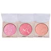 Hot Selling Cosmetics Matte Palette Blush Face Makeup Double Color Private Label Baking Blusher