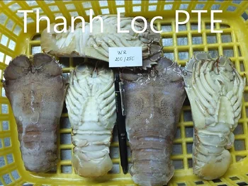 frozen slipper lobster whole round