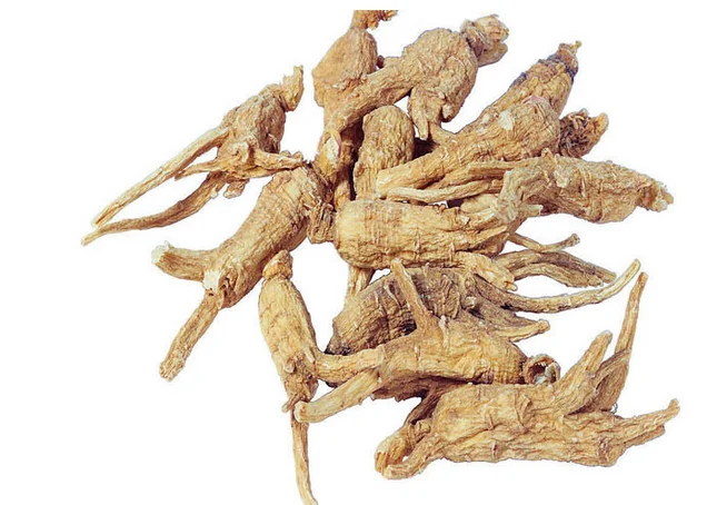 factory supply chinese angelica extract/chinese dong