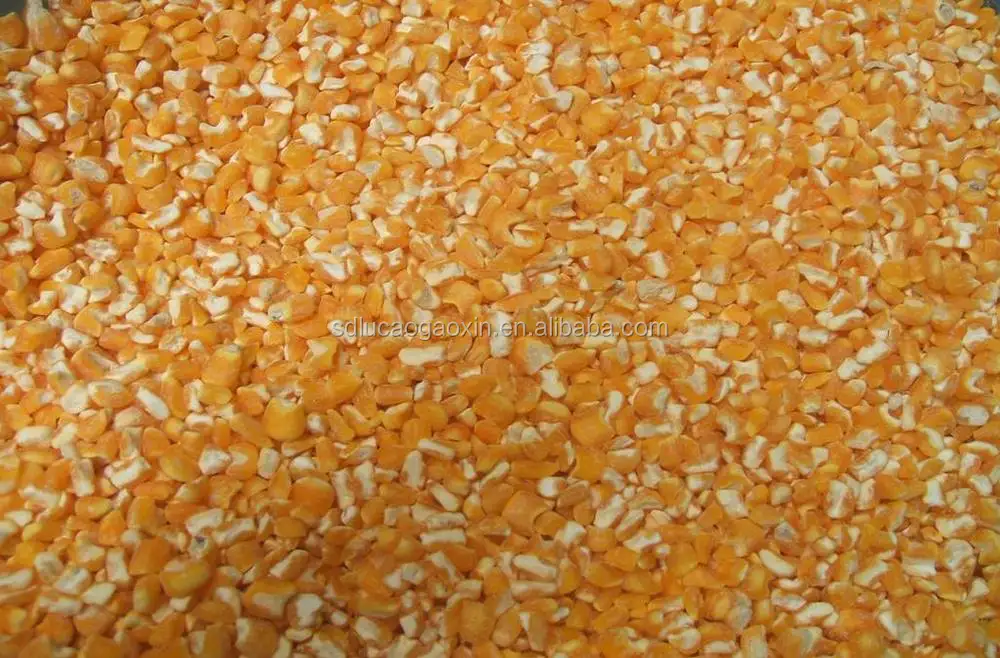 corn after peeling.jpg