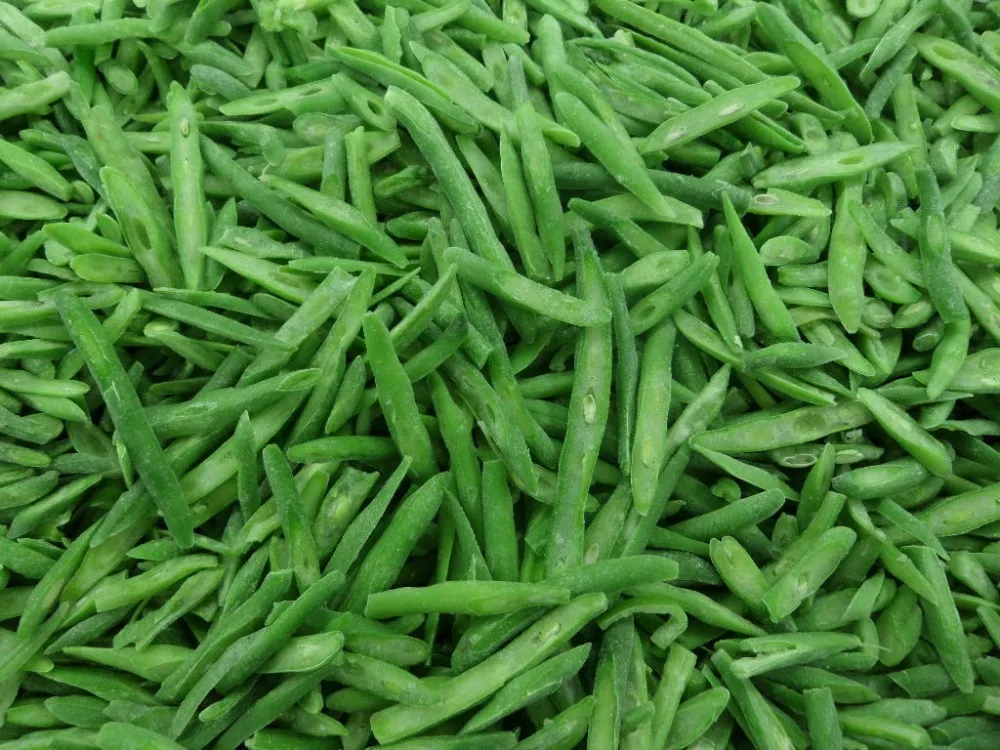 frozen-french-cut-green-beans-buy-frozen-cut-green-beans-french-cut