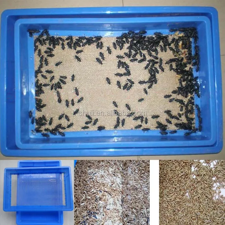 Mealworm Breeding Screens Buy Mealworm Breeding Screens,Breeding