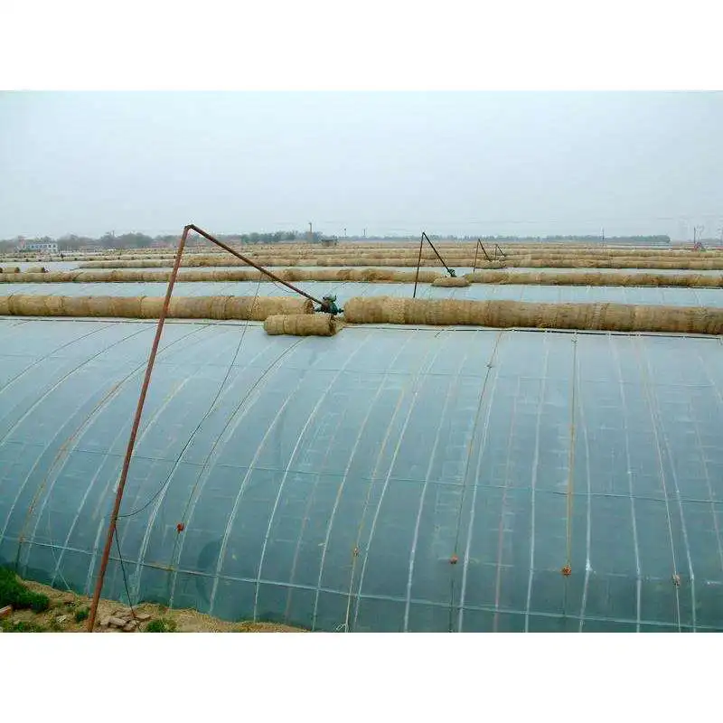 greenhouse.jpg