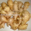 80-300g supermarket use supplier fresh young ginger dried ginger