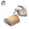IN-409 Hospital medical human teaching model Multi-Functional Intramuscular Injection Training Pad
