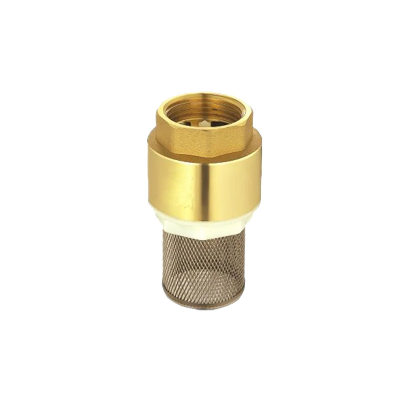 Brass Spring Check Valve With Filter With Brass Disc With Longer Life