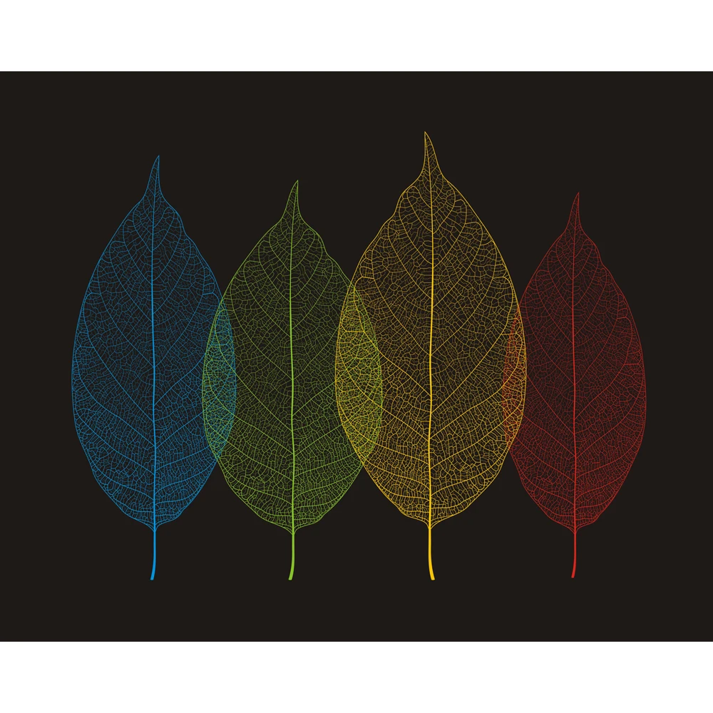 Download 9000 Wallpaper Abstrak Daun Gratis Download 9000 Wallpaper Abstrak Daun Gratis