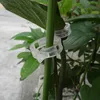 Transparent Plastic Tomato Clips Plant Support Rings
