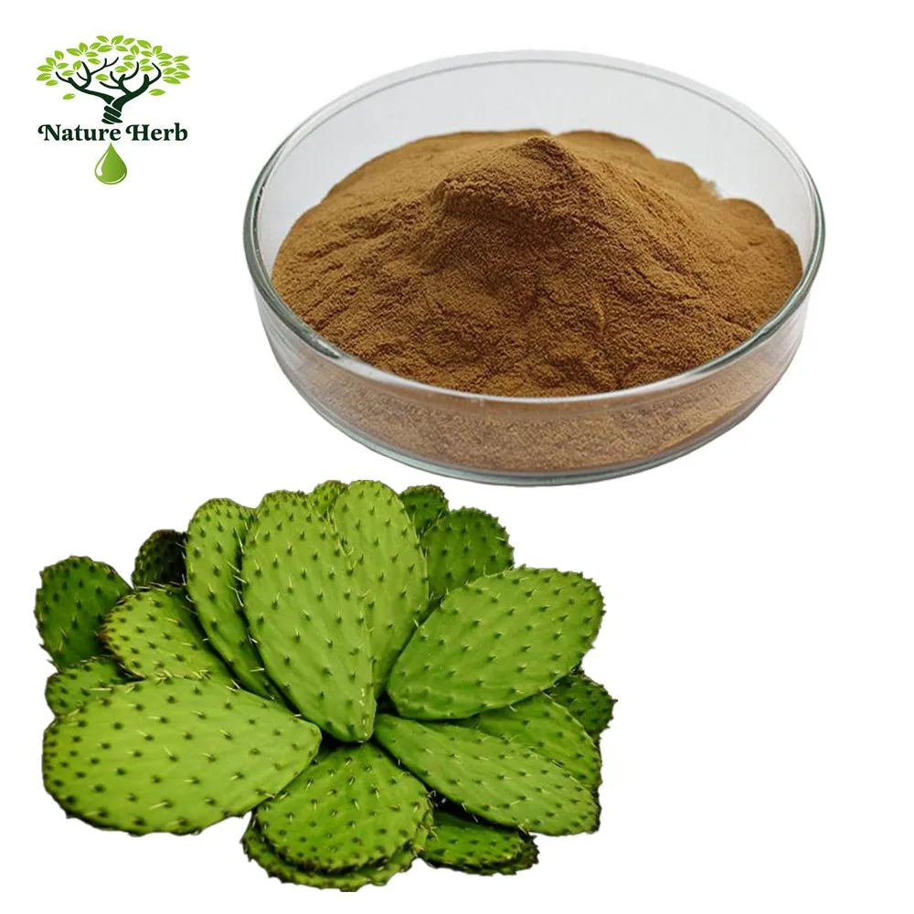 стевиозид опунция. экстракт опунции купить. экстракт опунции. лекарства из опунции. кактус для похудения.
