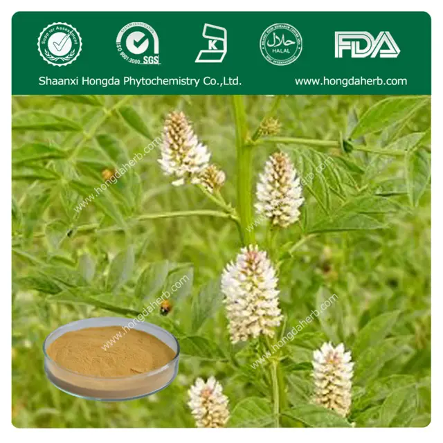 herb medicine,pure natural licorice extract