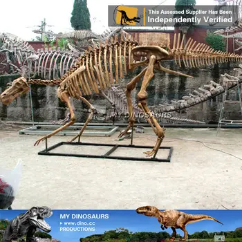 My Dino patung Fiber Glass Kerangka Dinosaurus  Mainan  