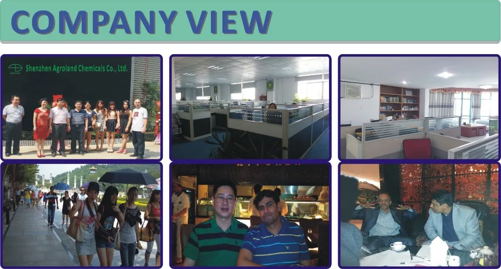 2.COMPANY VIEW .jpg