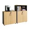 Combination of Office Information Archives Financial Cabinet Storage Cabinet