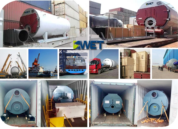 Série 1.25mpa 1 Ton Protection Gas Steam Boiler de WNS