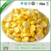 BULK/VACUUM PACKAGE FREEZE DRIED CORN