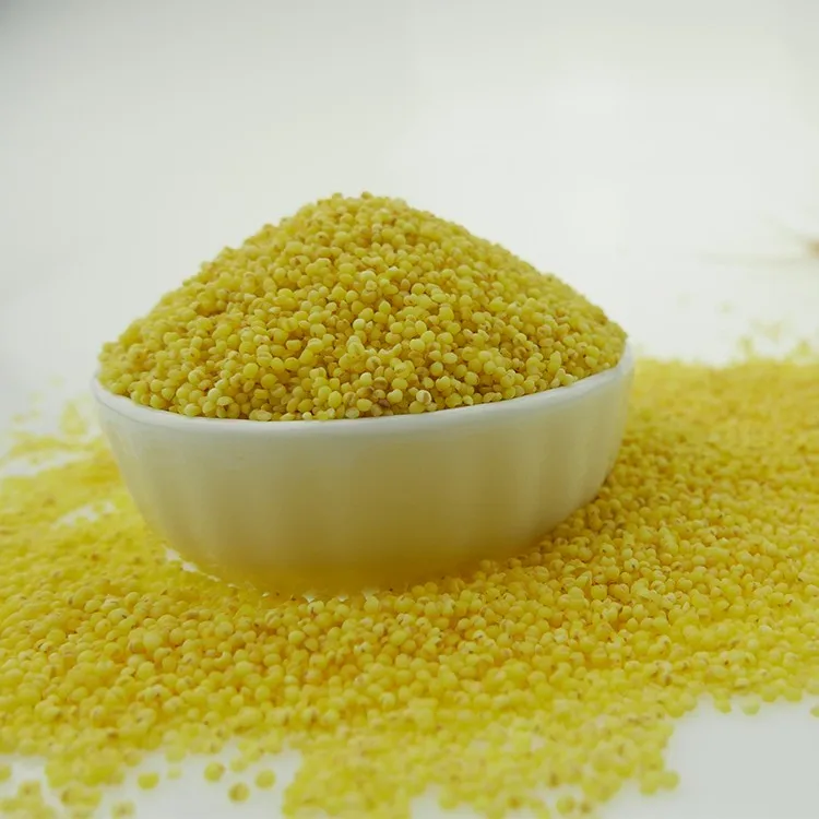 Glutinous Hulled Yellow Broomcorn Millet Sticky Millet For Rice Cake