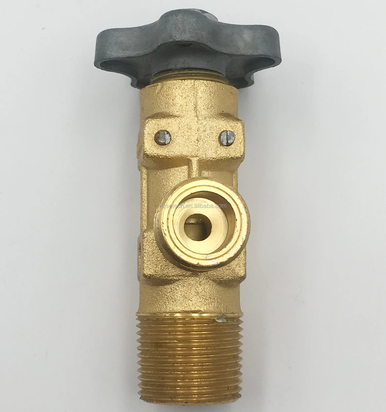 gas valveIMG_1111.JPG