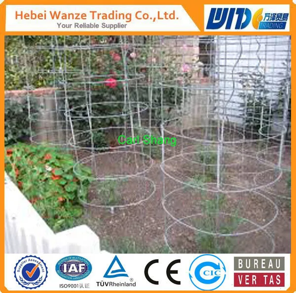 54"powder Coated Galvanized Steel Wire Round Tomato Cage Buy 54"powder Coated Galvanized