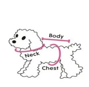 dog chart