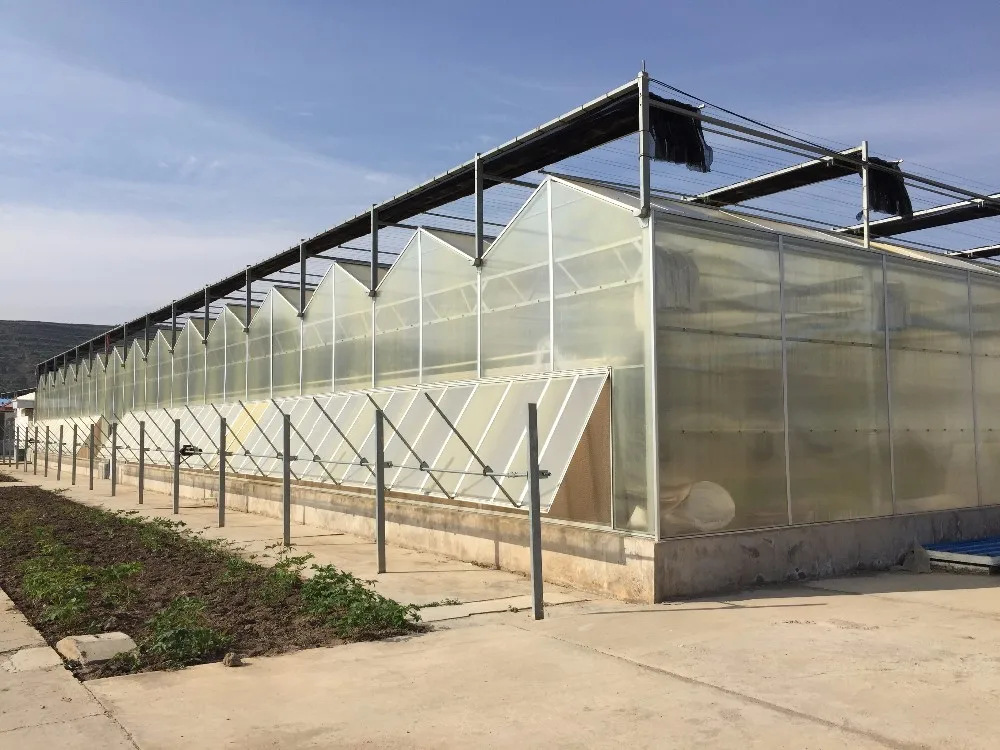 Greenhouse Covering Material Polycarbonate With High Quality Buy