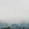 high quality communication guy wire tower