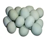 Full stainless steel automatic egg washing cleaning machine eggs washer cleaner for egg processing farm plant