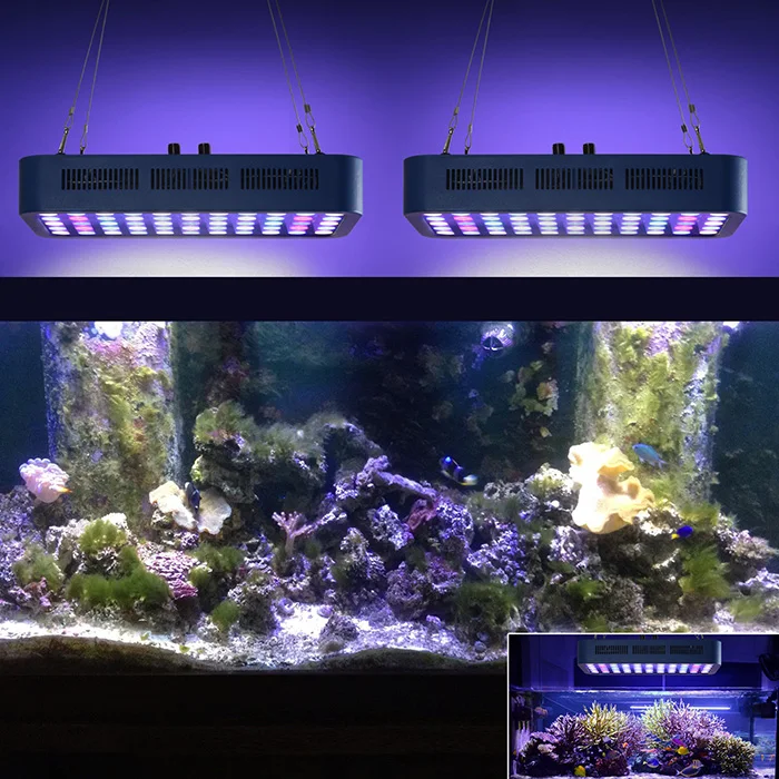 Beautiful Design Blue LED Aquarium Light for Fish Tank.jpg