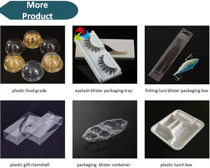 Blister Packaging Box.jpg