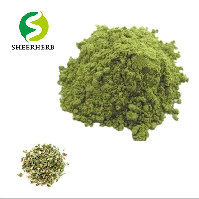 Curly Vegetable Powder Green Food Nongmo And Glutenfree Kale Extract