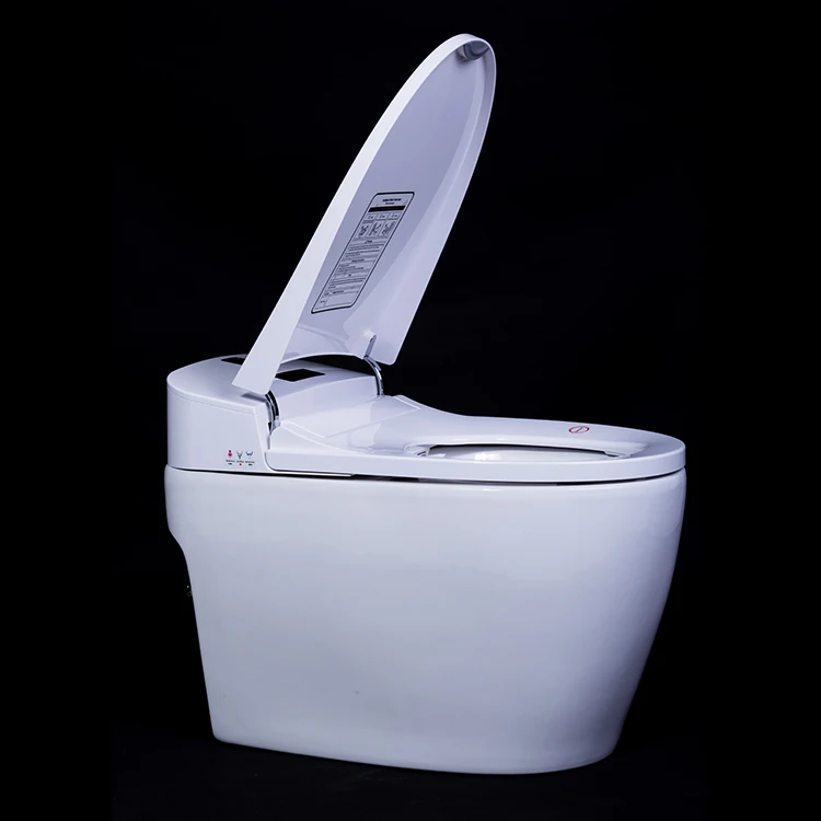 Multifunctional Onepiece Warm Air Dryer Japanese Smart Toilet Buy