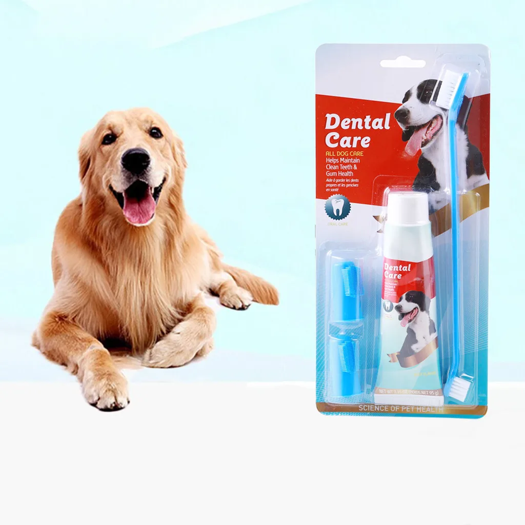 dog toothpaste and toothbrush kit