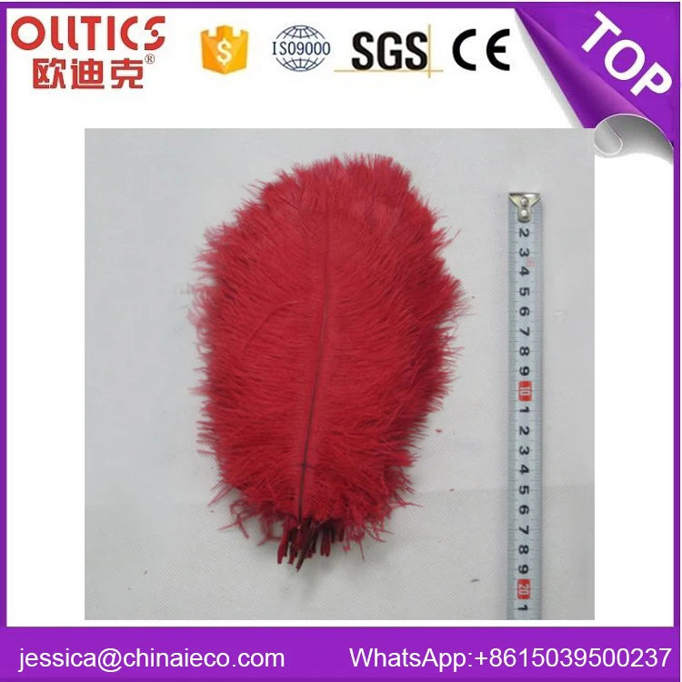 Avestruz rojo carnaval