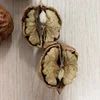 Common Cultivation Light Half Walnut Kernels with Premium Quality