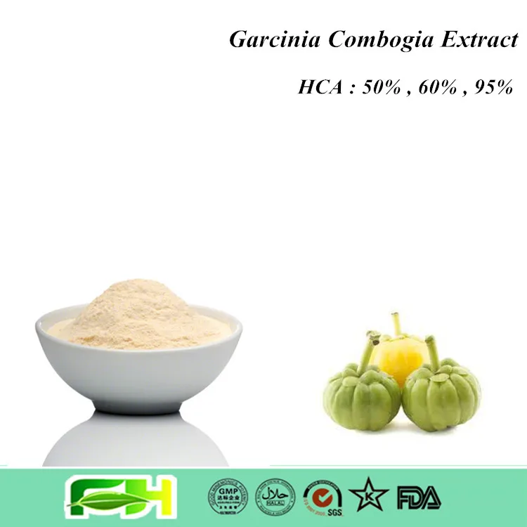 Garcinia Cambogia Chinese Herb