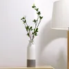 [ZIBO HAODE CERAMICS]two tone customized on-glazed table&window ornament ceramic vases