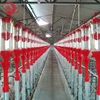 /product-detail/transparent-pig-feed-dispenser-auto-drop-feeder-feed-control-dispenser-60722947999.html