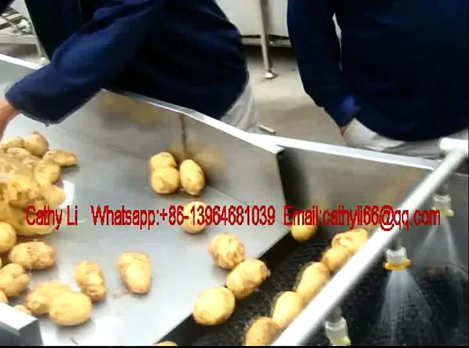 potato cleaning machine.jpg