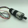 42mm 12v 24v 36v brushless dc gear reducing motor 2Nm 4Nm 8Nm 10Nm
