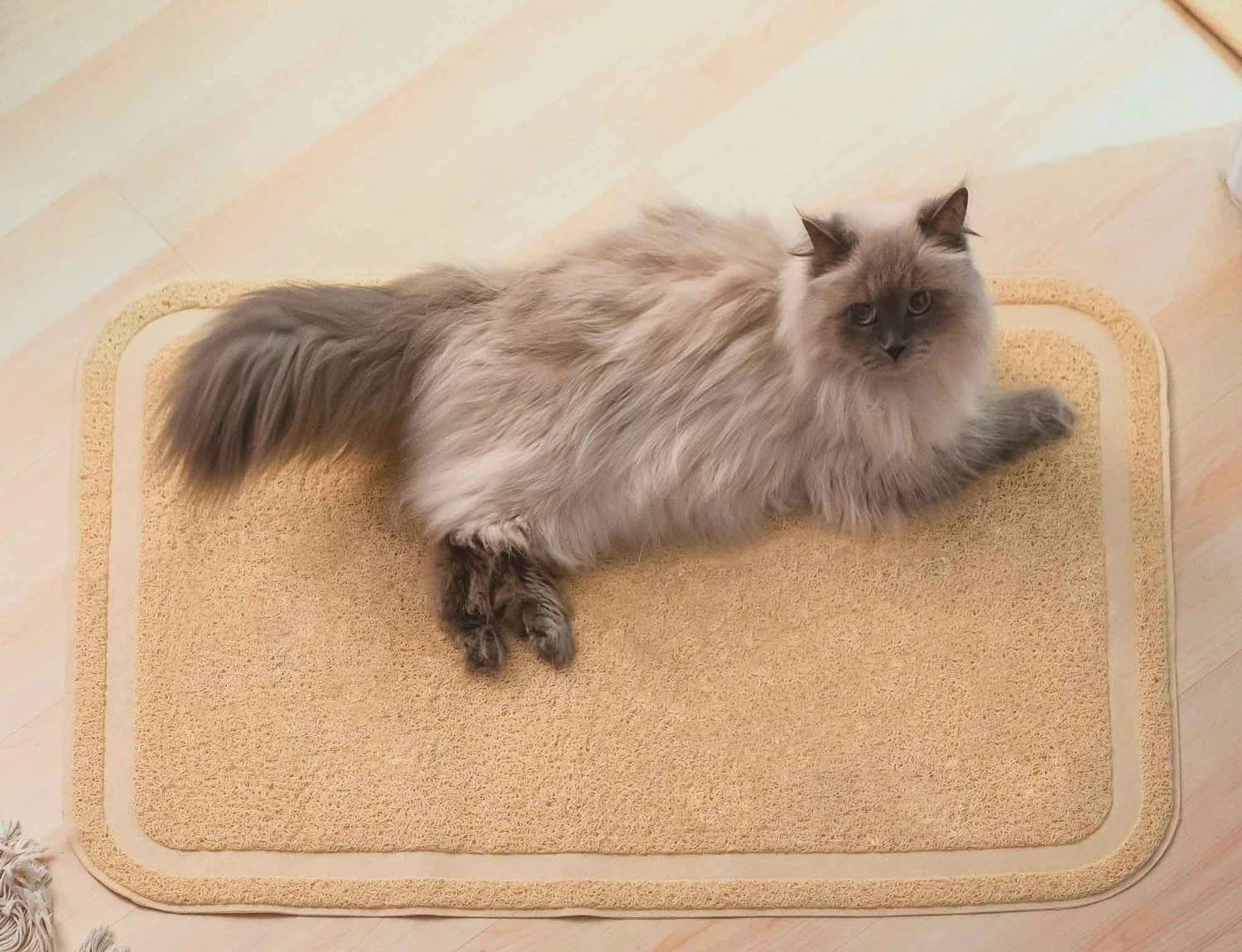 fashion pvc rectangle cat litter mat