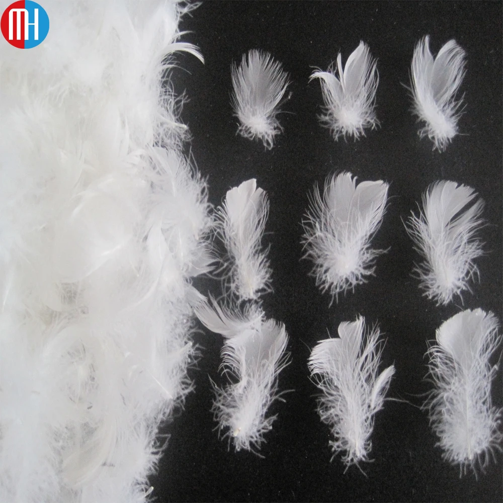 white feathers for sale