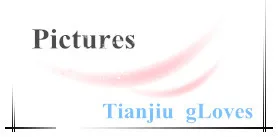 pictures of ski gloves.jpg