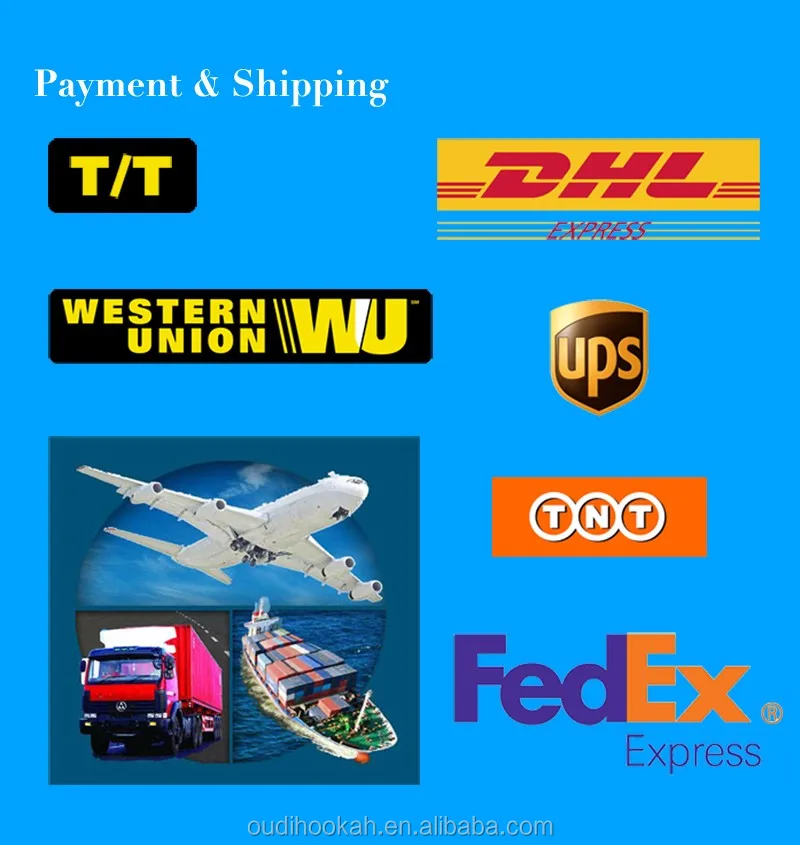 11 Inch Premium 1 Hose Hookah Complete Set With Mini Spring Green