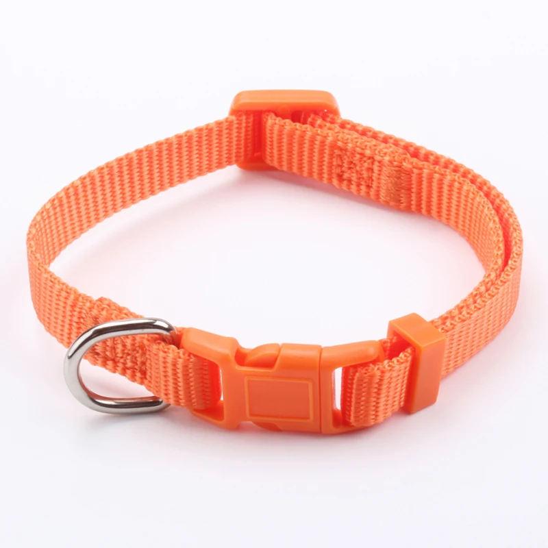 Dog Collar Camera With Professional Nylon Webbing Factory Buy Dog