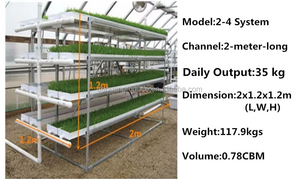 Aquaponic Growing Animal Feed Hydroponics Fodder System Buy Aquaponic