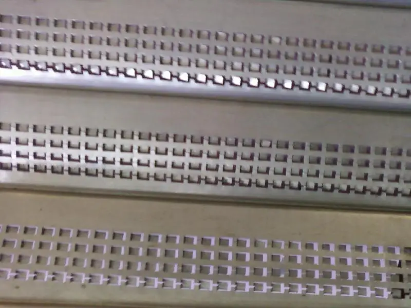 6304838.jpg