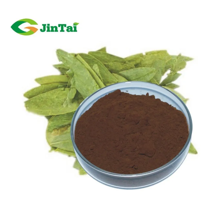 番泻叶提取物 8% 20% sennoside 粉末