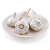 /product-detail/china-2018-new-crop-fresh-organic-white-garlic-60743777426.html