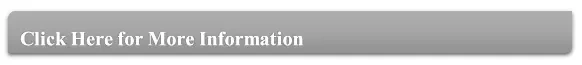 more service.webp.jpg